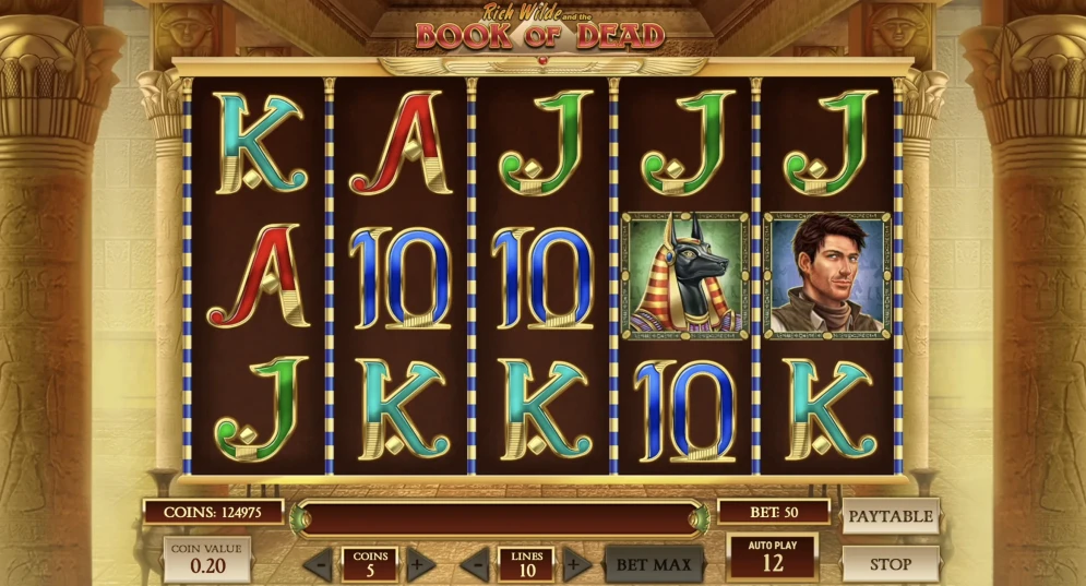 Book of Dead gameplay