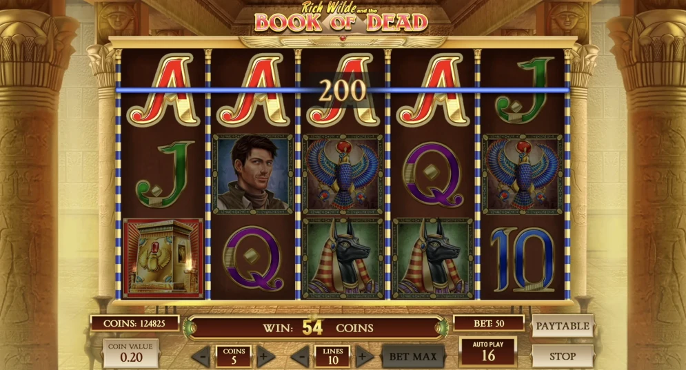 Book of Dead Slot