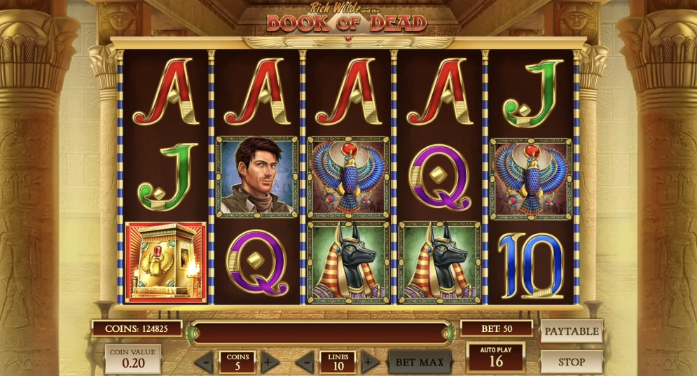 Book of Dead Slot