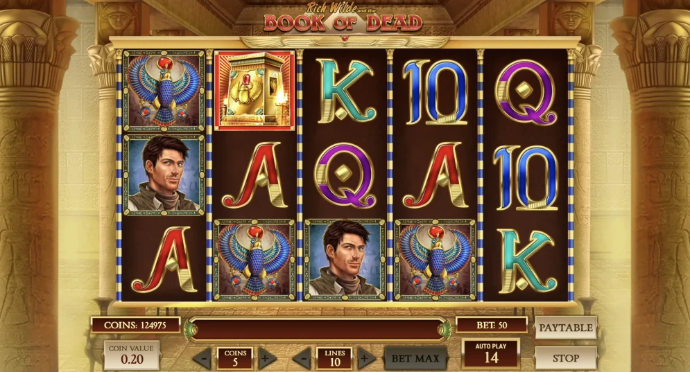 Book of Dead Slot